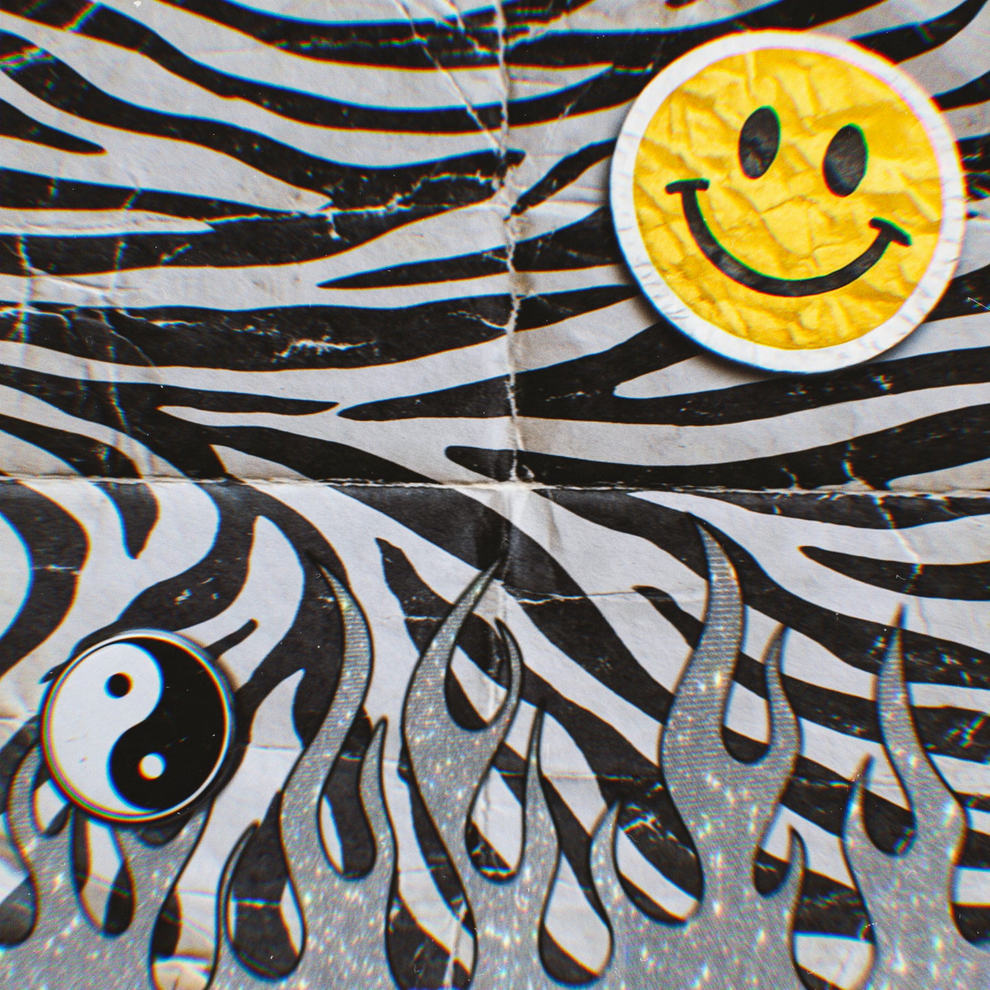 Zebra Graphic Paper