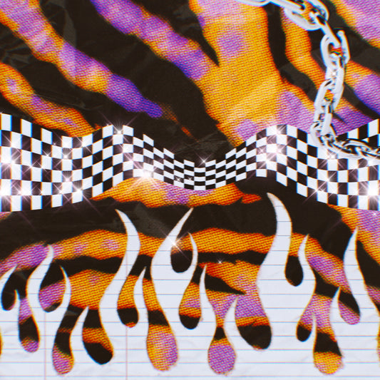 Bright Zebra Graphic Paper